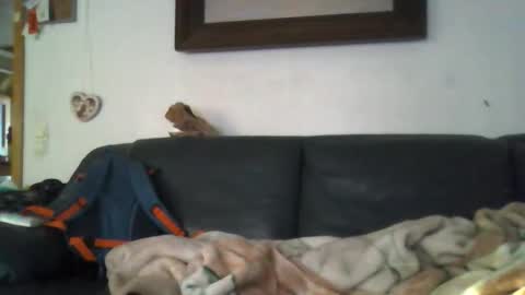 b0rn4porn online show from 04/27/26, 05:33