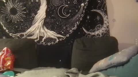 bandit online show from 02/01/25, 02:05