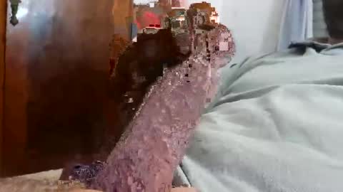 _black_horse_1 online show from 12/04/25, 02:43