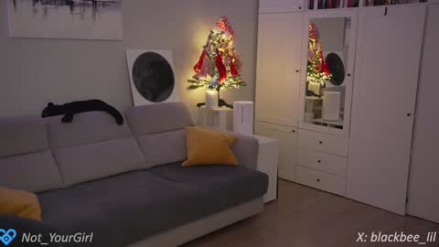 Lili online show from 12/11/24, 09:23