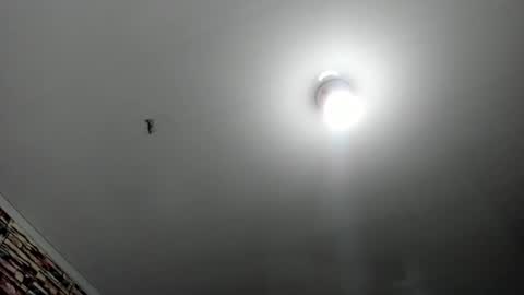 _casandra11 online show from 02/17/25, 03:36