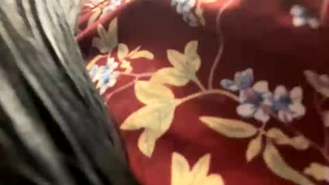 Snapshot of _catalina_linda_ok chatting on 10/26/25, 06:41 _catalina_linda_ok online show from 10/26/25, 06:41