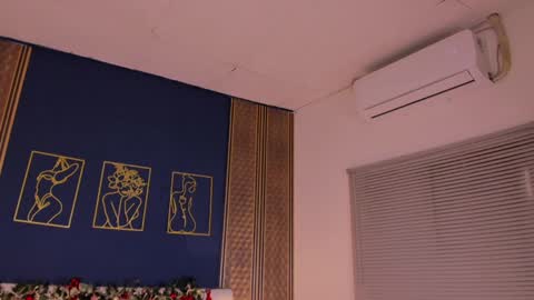 Snapshot of _dakota_a chatting on 12/28/24, 05:46 Dakota online show from 12/28/24, 05:46