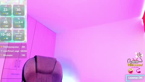 Snapshot of _devika chatting on 01/31/25, 04:17 _devika online show from 01/31/25, 04:17