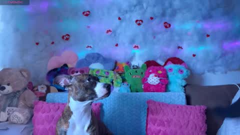 Kate online show from 03/07/26, 09:06