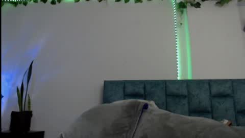 Snapshot of _donniia_ chatting on 01/23/25, 07:51 Dannia online show from 01/23/25, 07:51