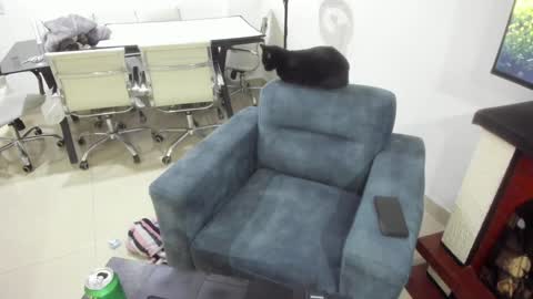 Emma online show from 01/17/25, 01:15