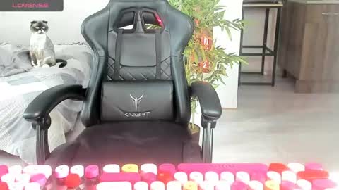 Snapshot of _feralberry__ chatting on 06/20/26, 07:11 Alis online show from 06/20/26, 07:11