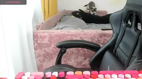 Snapshot of _feralberry__ chatting on 06/26/26, 03:55 Alis online show from 06/26/26, 03:55