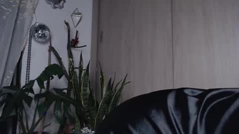 Jenn  online show from 03/27/26, 11:37