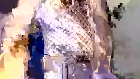 Snapshot of _incocknito_ chatting on 12/16/25, 05:40 incocknito online show from 12/16/25, 05:40