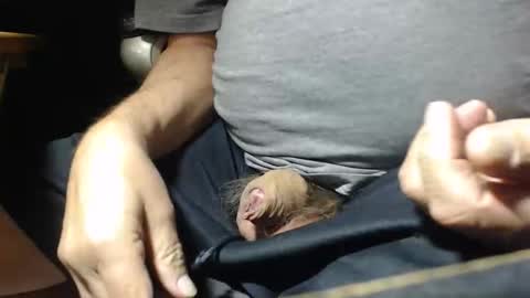 Snapshot of _jimmini chatting on 11/01/25, 05:04 _jimmini online show from 11/01/25, 05:04