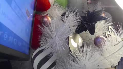 Cata  online show from 11/30/25, 03:10