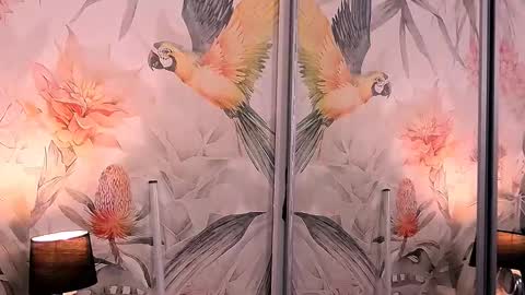 Lisa online show from 01/18/25, 09:55