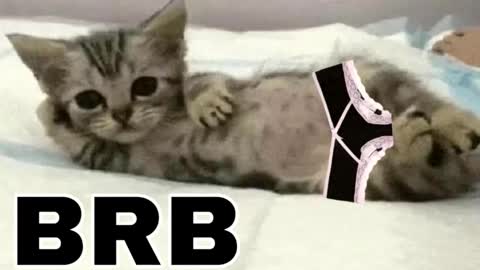 miko3 online show from 12/03/25, 11:25