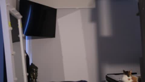 soy mike online show from 02/07/25, 02:04