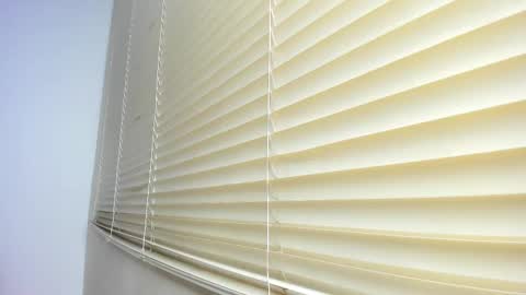 Snapshot of _molly_rosse_ chatting on 11/12/25, 11:54 _molly_rosse_ online show from 11/12/25, 11:54