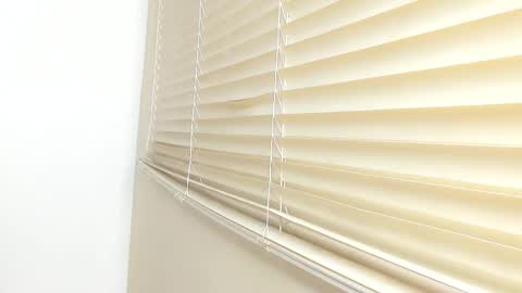 Snapshot of _molly_rosse_ chatting on 11/21/25, 11:53 _molly_rosse_ online show from 11/21/25, 11:53