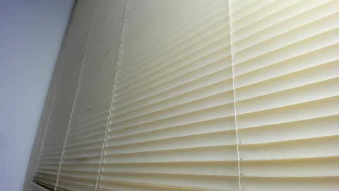 Snapshot of _molly_rosse_ chatting on 12/05/25, 12:14 _molly_rosse_ online show from 12/05/25, 12:14