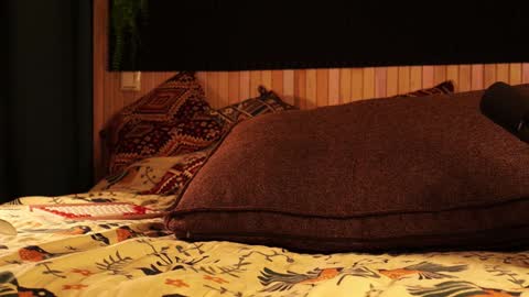 Lady Jess from house of Dragonborns online show from 01/21/25, 03:10