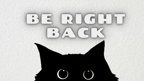 Stefany online show from 02/06/26, 11:08