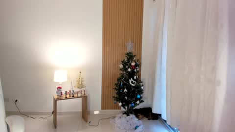 Sam   --- next stream 1 dic  food and vino show . online show from 12/28/24, 09:08