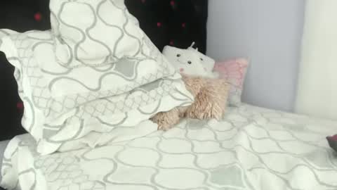 Alexa online show from 01/29/25, 06:50