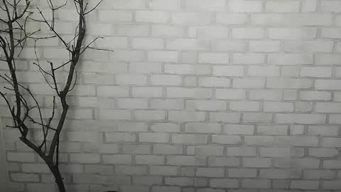 Snapshot of _snow_queen__ chatting on 12/14/24, 01:27 Rachel online show from 12/14/24, 01:27