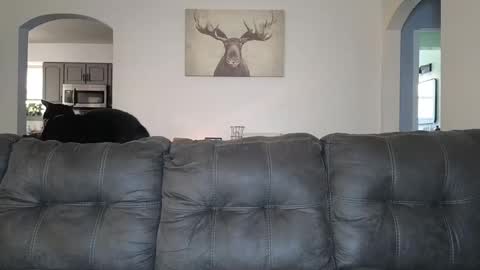 Snapshot of _sophia_grace_ chatting on 10/03/25, 04:37 SophiaGraceKnight online show from 10/03/25, 04:37