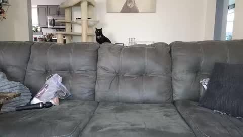 Snapshot of _sophia_grace_ chatting on 11/12/25, 05:13 SophiaGraceKnight online show from 11/12/25, 05:13