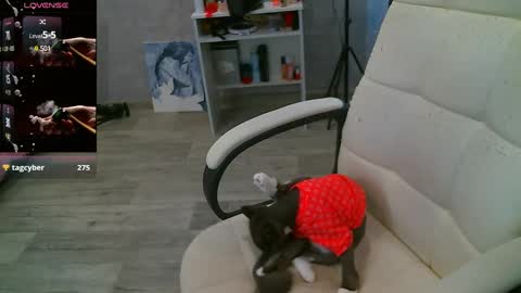 Snapshot of _sweet_ruby_ chatting on 02/26/25, 07:53 Milana welcome to my world online show from 02/26/25, 07:53