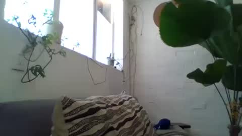 _tutti_frutti_ online show from 02/05/25, 09:18