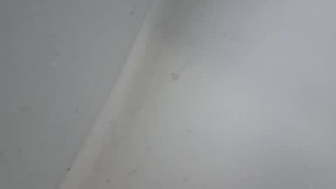 XXL online show from 01/18/26, 10:52