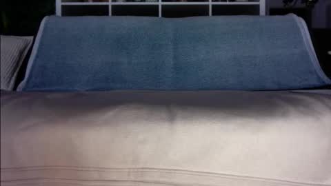 a_nice_dick_77 online show from 03/17/26, 05:22