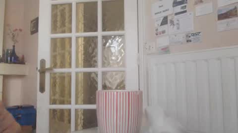 Aalex1717 online show from 01/14/26, 08:53