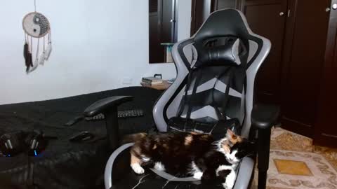 aarman online show from 01/17/25, 04:06