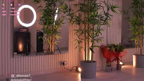 Alexa online show from 02/04/25, 06:25