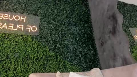 A B B Y online show from 02/15/25, 02:44