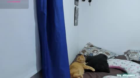 Snapshot of abby_saenz01 chatting on 10/18/25, 11:27 Abby Saenz online show from 10/18/25, 11:27