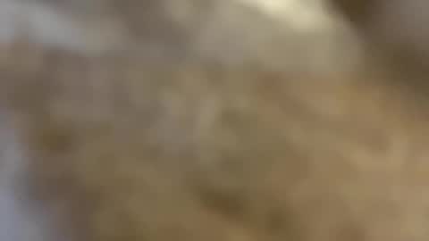 ABBY online show from 12/03/24, 10:50