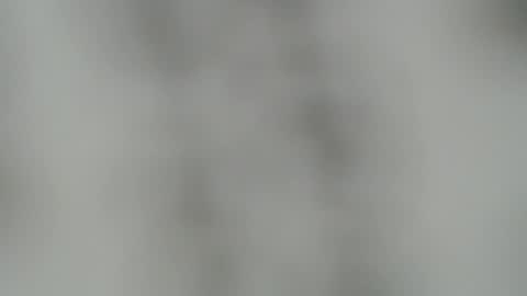 ABBY online show from 12/22/24, 03:44