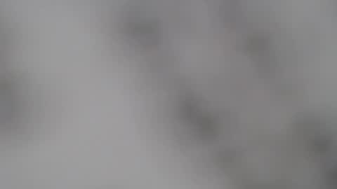 ABBY online show from 02/05/25, 01:00