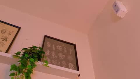 Snapshot of abbywathson chatting on 02/23/26, 12:02 A B B Y online show from 02/23/26, 12:02