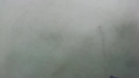 Snapshot of abella677022 chatting on 02/16/26, 08:16 abella677022 online show from 02/16/26, 08:16