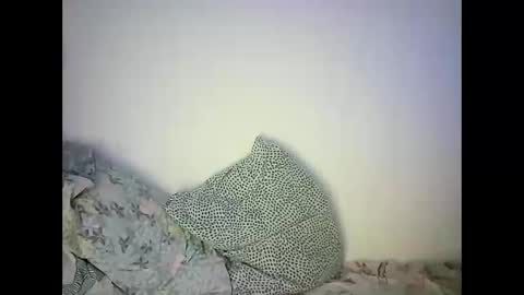 GoldenFish online show from 02/22/25, 11:46