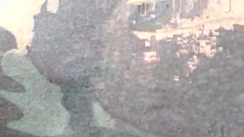 Masturbating boy online show from 01/17/25, 02:08