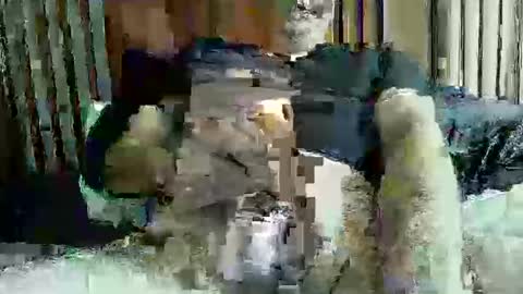 Snapshot of ace1man chatting on 10/11/25, 01:53 ace1man online show from 10/11/25, 01:53