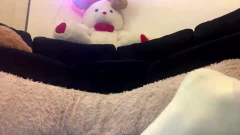 ENIGMA TZX5114 online show from 02/18/25, 12:28