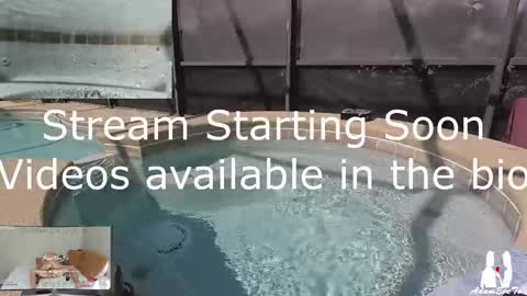 Snapshot of adamevetv chatting on 03/02/25, 03:27 Adam And Eve online show from 03/02/25, 03:27