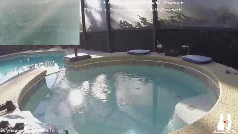 Snapshot of adamevetv chatting on 12/20/25, 07:54 Adam And Eve online show from 12/20/25, 07:54